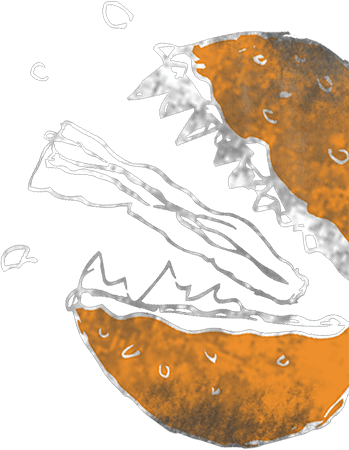 schrei